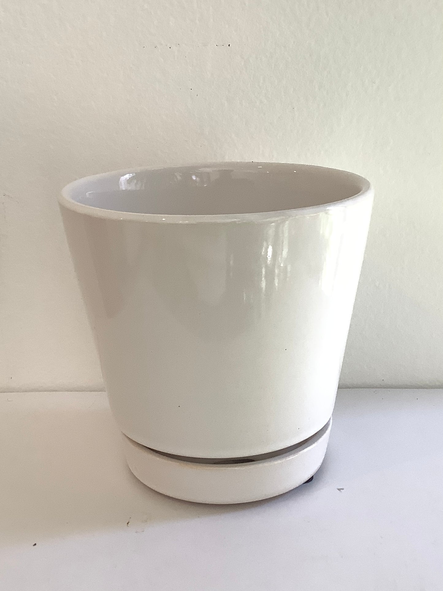 4" Gloss White Ceramic Planter Pot w/ Saucer